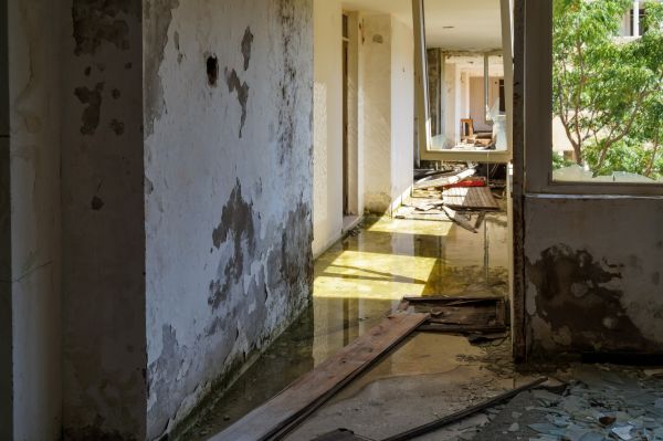 Cost of Water Removal Service in Rancho Cucamonga