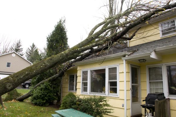 Cost of Storm Damage Mitigation in Rancho Cucamonga